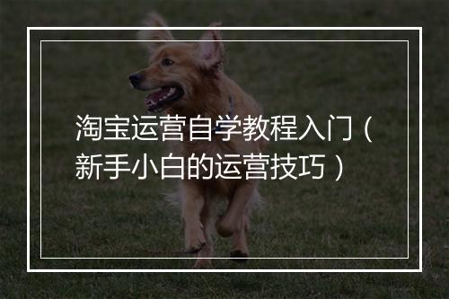 淘宝运营自学教程入门（新手小白的运营技巧）