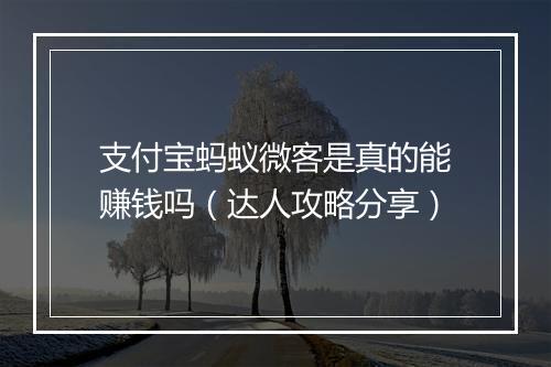 支付宝蚂蚁微客是真的能赚钱吗（达人攻略分享）