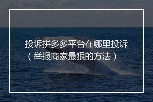投诉拼多多平台在哪里投诉（举报商家最狠的方法）