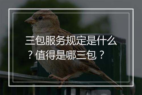 三包服务规定是什么？值得是哪三包？