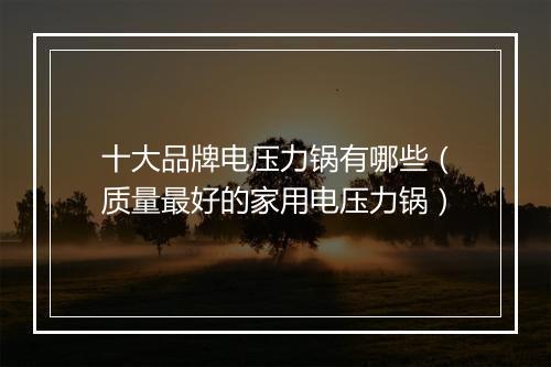 十大品牌电压力锅有哪些（质量最好的家用电压力锅）