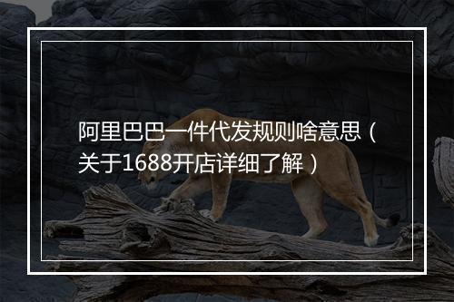 阿里巴巴一件代发规则啥意思（关于1688开店详细了解）