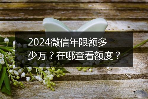 2024微信年限额多少万？在哪查看额度？