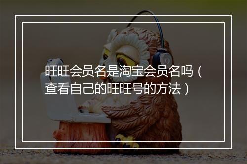旺旺会员名是淘宝会员名吗（查看自己的旺旺号的方法）