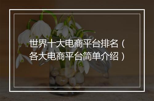 世界十大电商平台排名（各大电商平台简单介绍）