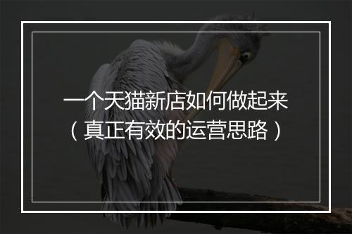 一个天猫新店如何做起来（真正有效的运营思路）
