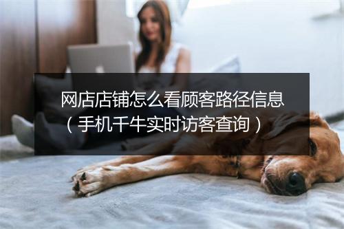 网店店铺怎么看顾客路径信息（手机千牛实时访客查询）