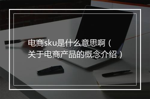电商sku是什么意思啊（关于电商产品的概念介绍）