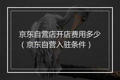 京东自营店开店费用多少（京东自营入驻条件）