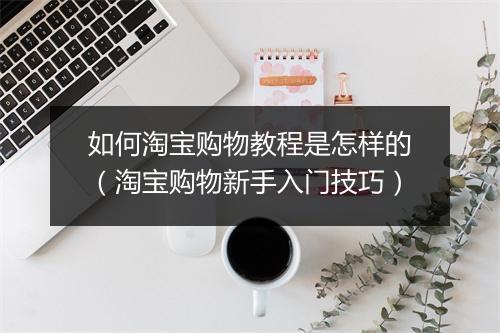 如何淘宝购物教程是怎样的（淘宝购物新手入门技巧）