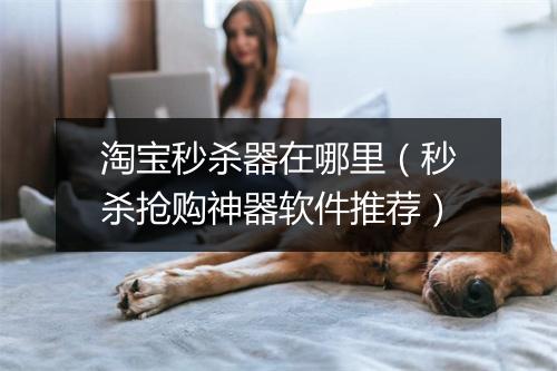 淘宝秒杀器在哪里（秒杀抢购神器软件推荐）