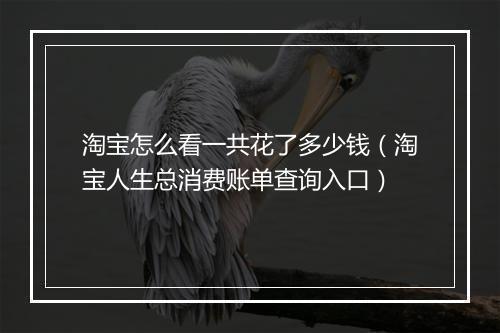 淘宝怎么看一共花了多少钱（淘宝人生总消费账单查询入口）