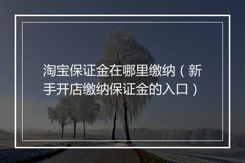 淘宝保证金在哪里缴纳（新手开店缴纳保证金的入口）