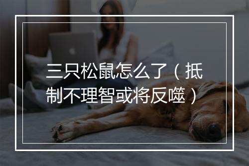 三只松鼠怎么了（抵制不理智或将反噬）