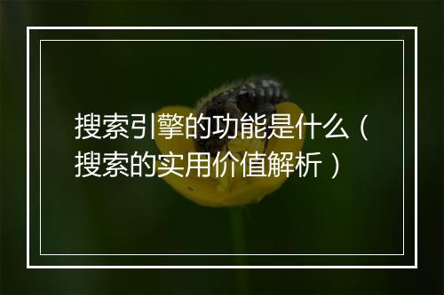 搜索引擎的功能是什么（搜索的实用价值解析）