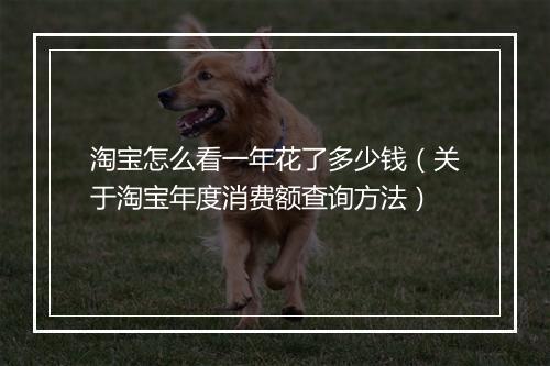 淘宝怎么看一年花了多少钱（关于淘宝年度消费额查询方法）