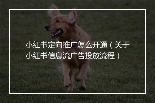 小红书定向推广怎么开通（关于小红书信息流广告投放流程）