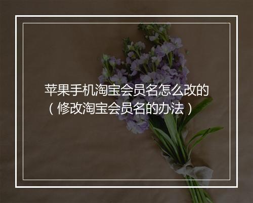 苹果手机淘宝会员名怎么改的（修改淘宝会员名的办法）