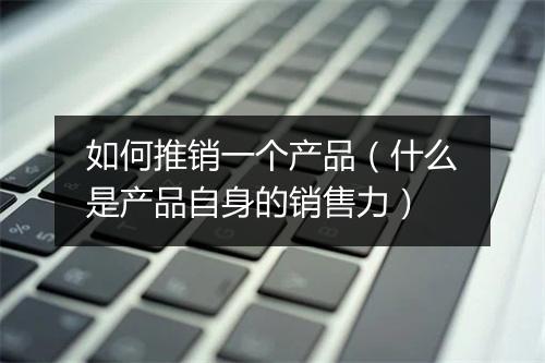 如何推销一个产品（什么是产品自身的销售力）
