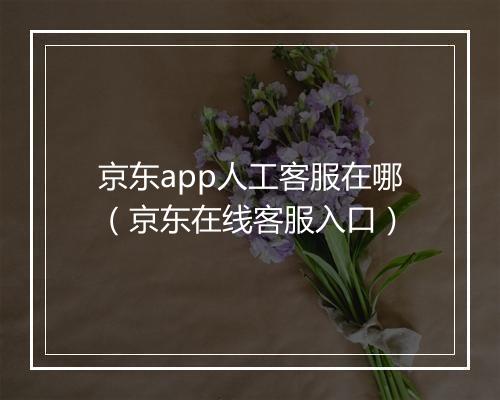 京东app人工客服在哪（京东在线客服入口）