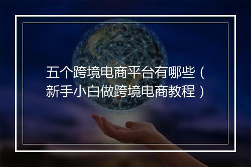 五个跨境电商平台有哪些（新手小白做跨境电商教程）