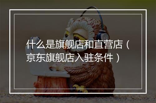 什么是旗舰店和直营店（京东旗舰店入驻条件）