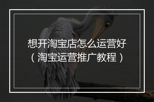 想开淘宝店怎么运营好（淘宝运营推广教程）