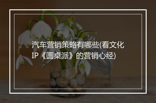 汽车营销策略有哪些(看文化IP《圆桌派》的营销心经)