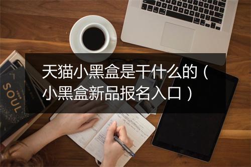 天猫小黑盒是干什么的（小黑盒新品报名入口）