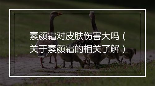 素颜霜对皮肤伤害大吗（关于素颜霜的相关了解）