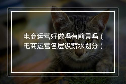 电商运营好做吗有前景吗（电商运营各层级薪水划分）