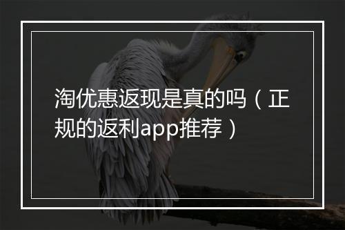 淘优惠返现是真的吗（正规的返利app推荐）