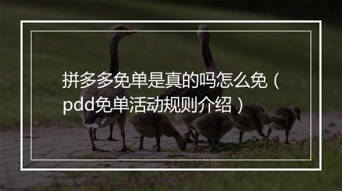 拼多多免单是真的吗怎么免（pdd免单活动规则介绍）