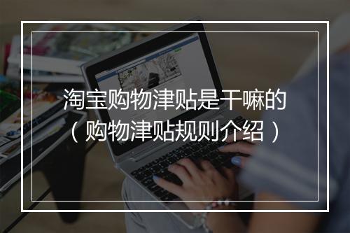 淘宝购物津贴是干嘛的（购物津贴规则介绍）