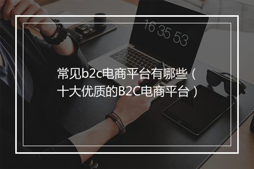 常见b2c电商平台有哪些（十大优质的B2C电商平台）