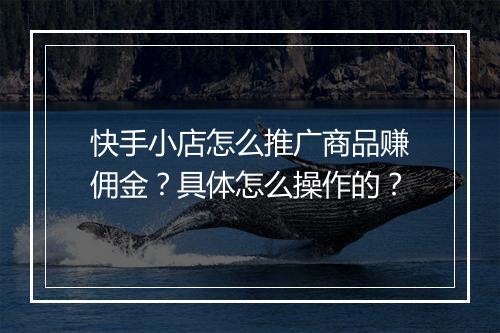 快手小店怎么推广商品赚佣金？具体怎么操作的？