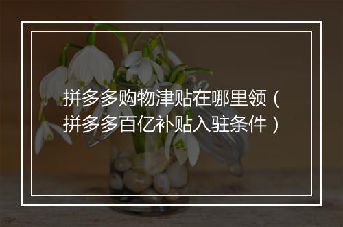 拼多多购物津贴在哪里领（拼多多百亿补贴入驻条件）