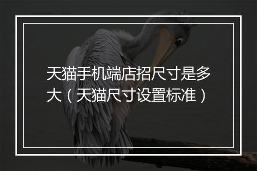天猫手机端店招尺寸是多大（天猫尺寸设置标准）