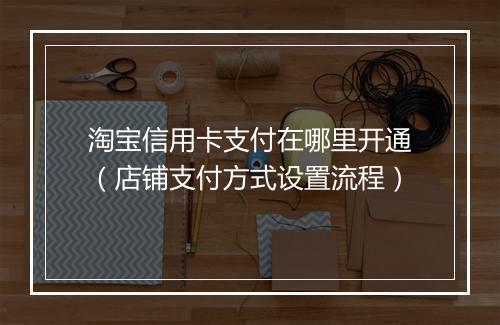 淘宝信用卡支付在哪里开通（店铺支付方式设置流程）