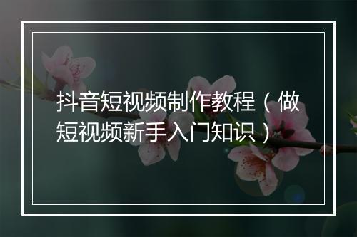 抖音短视频制作教程（做短视频新手入门知识）