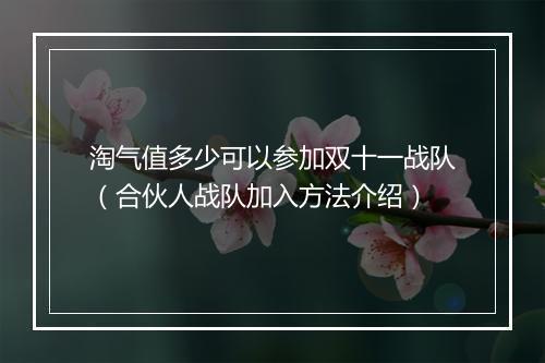 淘气值多少可以参加双十一战队（合伙人战队加入方法介绍）