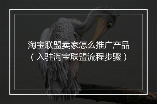 淘宝联盟卖家怎么推广产品（入驻淘宝联盟流程步骤）