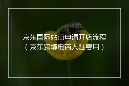 京东国际站点申请开店流程（京东跨境电商入驻费用）