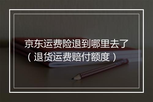 京东运费险退到哪里去了（退货运费赔付额度）