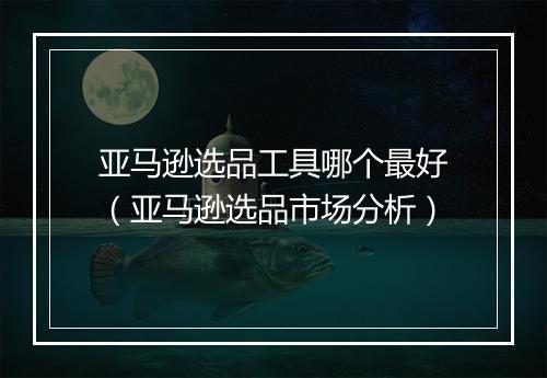 亚马逊选品工具哪个最好（亚马逊选品市场分析）