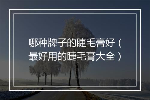 哪种牌子的睫毛膏好（最好用的睫毛膏大全）