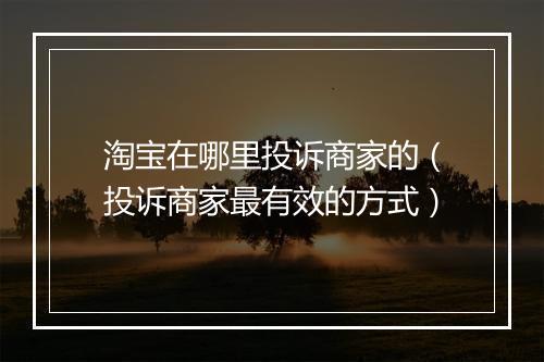 淘宝在哪里投诉商家的（投诉商家最有效的方式）