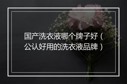 国产洗衣液哪个牌子好（公认好用的洗衣液品牌）