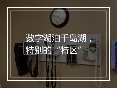 数字湖泊千岛湖，特别的“特区”