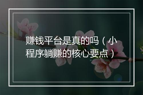赚钱平台是真的吗（小程序躺赚的核心要点）